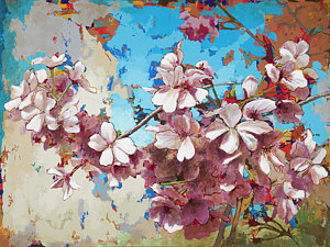 300x225 Cherry Blossom Paintings Fine Art America - Sakura Blossom Painting
