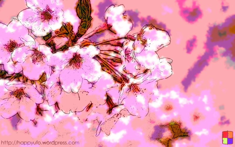 800x500 Sakura Flowers Painting The Happy Ufo - Sakura Flower Painting