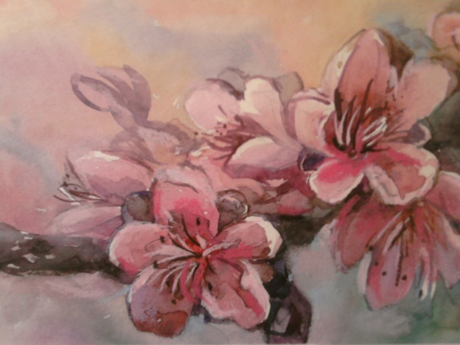 900x675 Sakura Flowers Paint By Nadimkun - Sakura Flower Painting