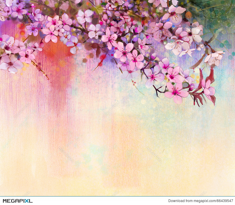 800x696 Watercolor Painting Cherry Blossoms, Japanese Cherry, Pink Sakura - Sakura Flower Painting