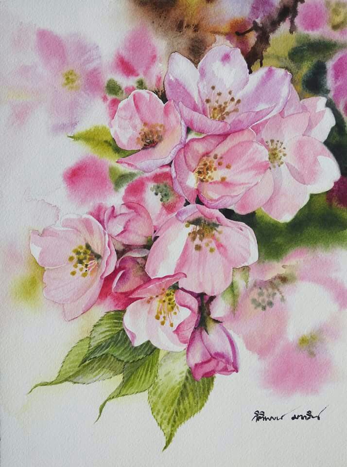 714x960 Artistkitipong Maksin Watercolour Painting Size23x31cm. Title - Sakura Flower Painting