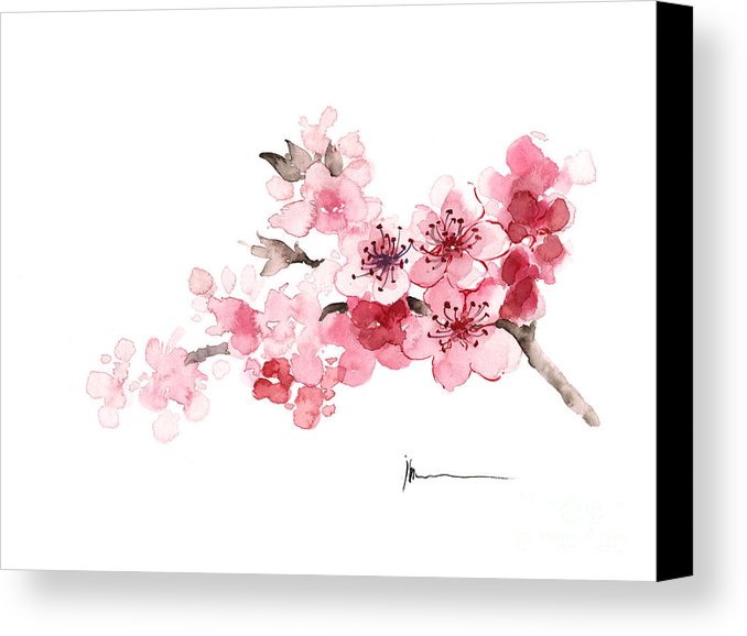 678x578 Cherry Blossom Branch Watercolor Art Print Painting Canvas Print - Sakura Flower Painting