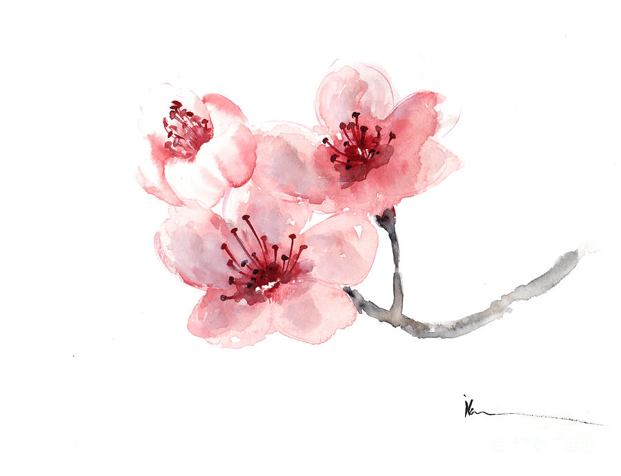 900x690 Cherry Blossom Flower Watercolor Art Print Painting Painting By - Sakura Flower Painting