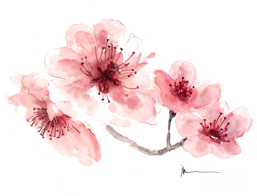 900x687 Cherry Blossom Fragrance Watercolor Art Print Painting Painting By - Sakura Flower Painting