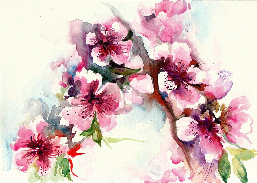 900x640 Sakura - Sakura Painting