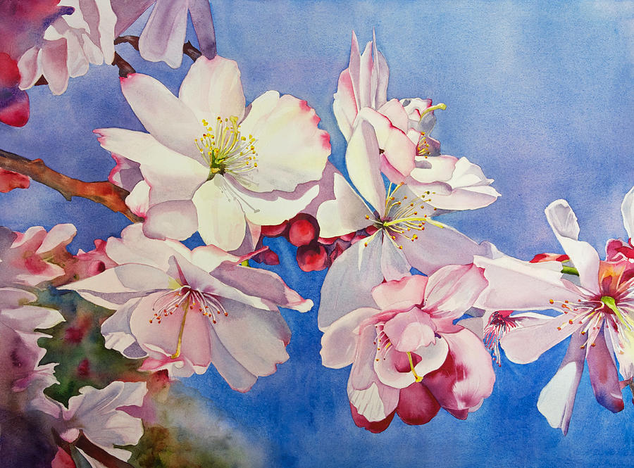 900x665 Sakura Painting By Diane Fujimoto - Sakura Painting