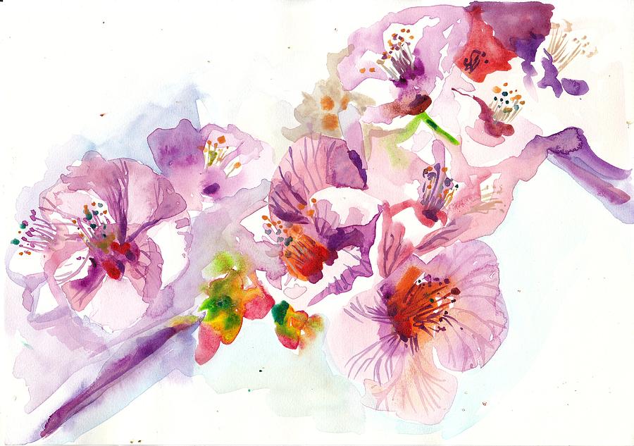 900x633 Sakura - Sakura Painting Watercolor