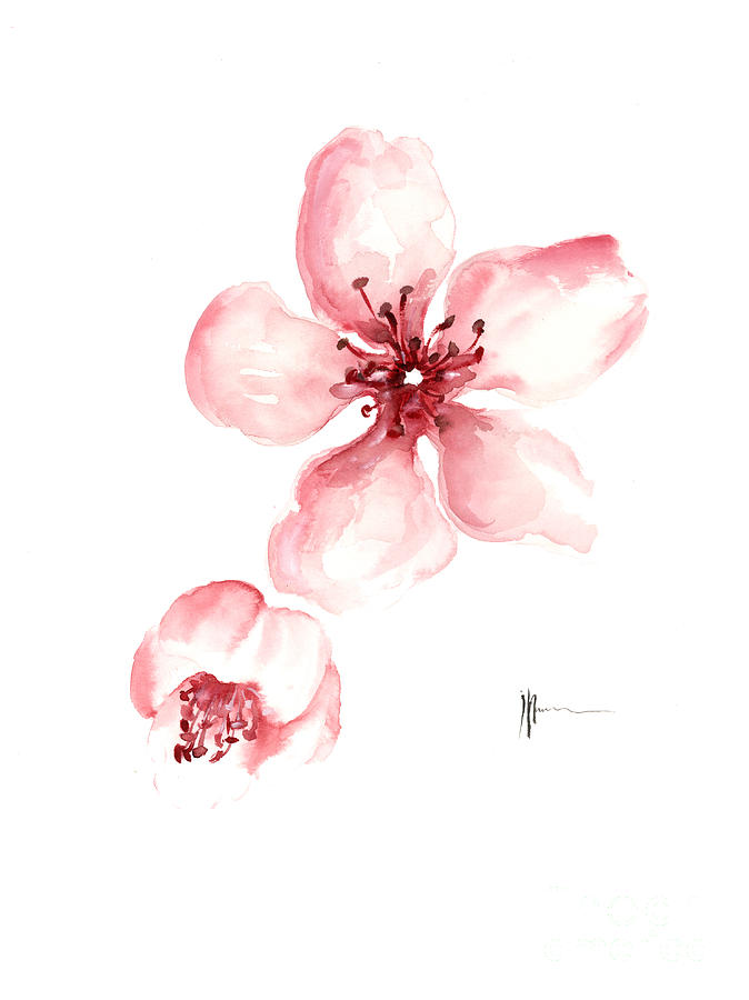 674x900 Sakura Watercolor Art Print Painting Painting By Joanna Szmerdt - Sakura Painting Watercolor