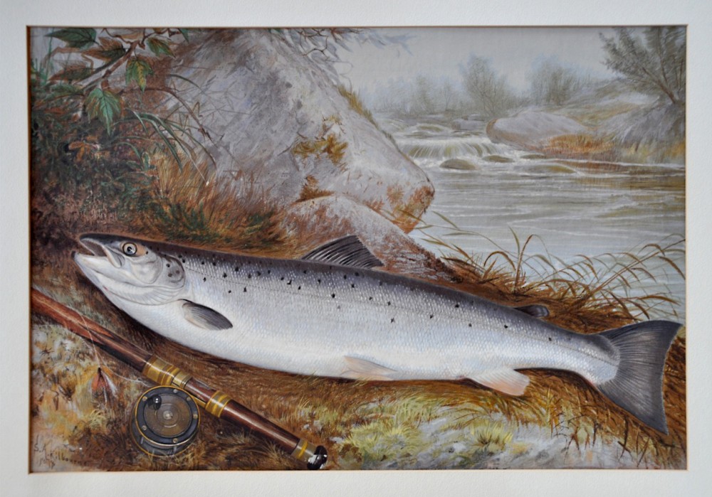 1000x699 Fish In Art Fish Stories - Salmon Painting