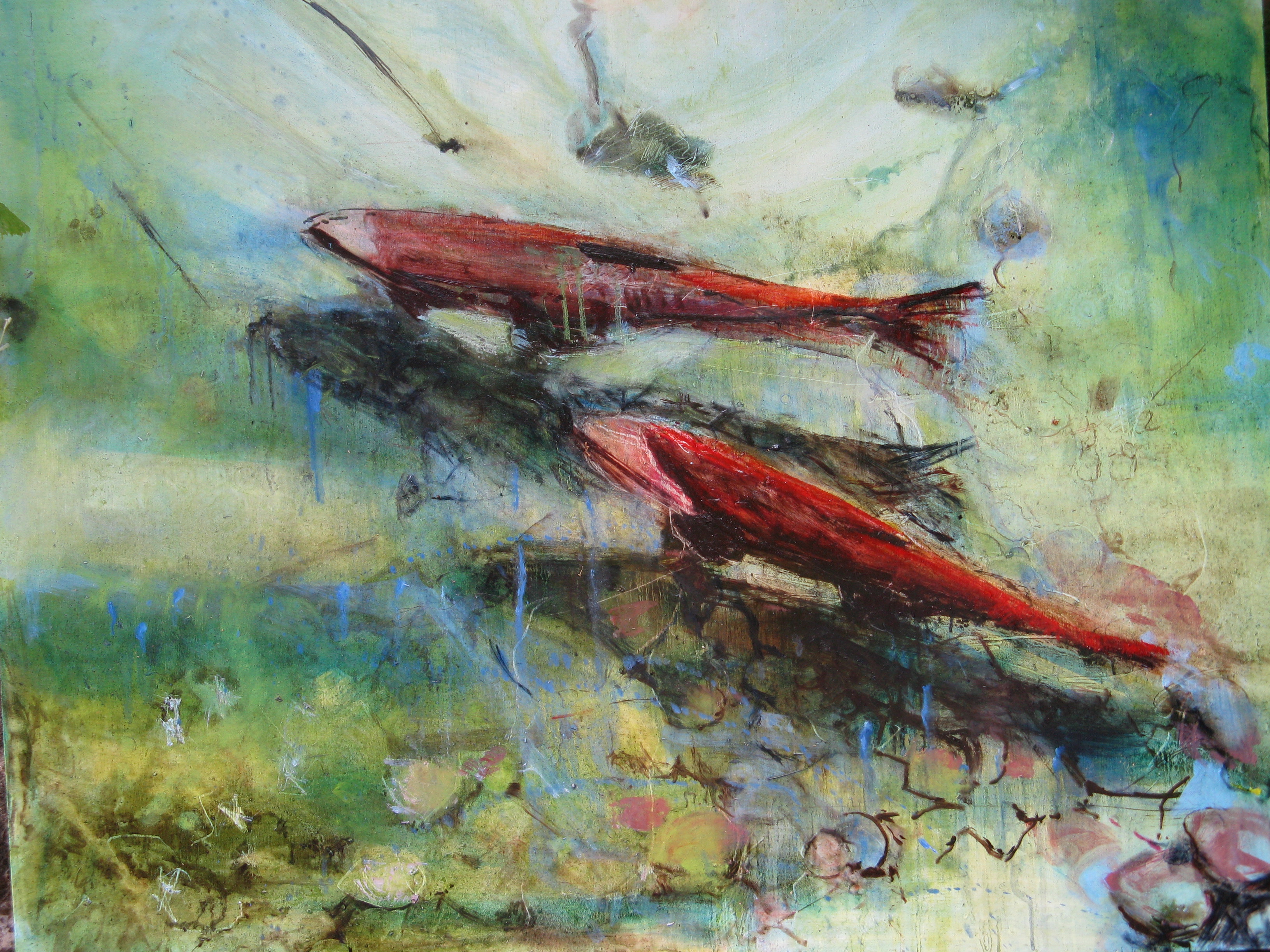 3264x2448 Salmon Cycle Paintings Megan Dulcie Dill - Salmon Painting
