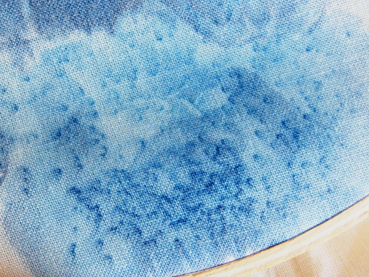 750x563 Salted Watercolor - Salt Water Painting