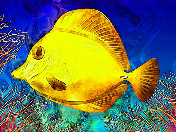 600x450 Saltwater Fish Artwork 19 Best Fish Artwork Paintings Marine - Saltwater Fish Painting