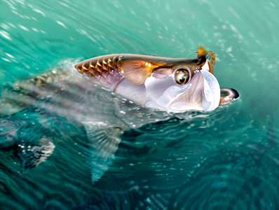 398x300 Tarpon Painting Saltwater Fly Fishing Blog - Saltwater Fish Painting
