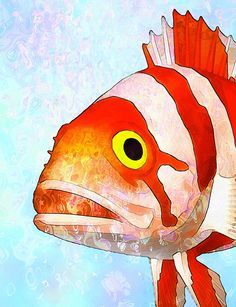 236x307 Fine Art Poster Underwater Paint Poster Art Fish Saltwater Fish - Saltwater Fish Painting