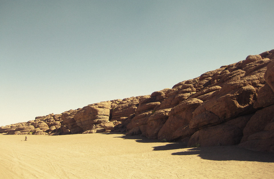 960x628 The Stone Tree The Desert Of Salvador Dali Gareth James - Salvador Dali Desert Painting