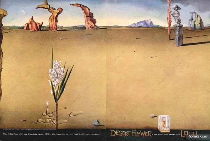 716x483 Leigh (Perfumes) 1947 Desert Flower, Salvador Dali The Invisible - Salvador Dali Desert Painting