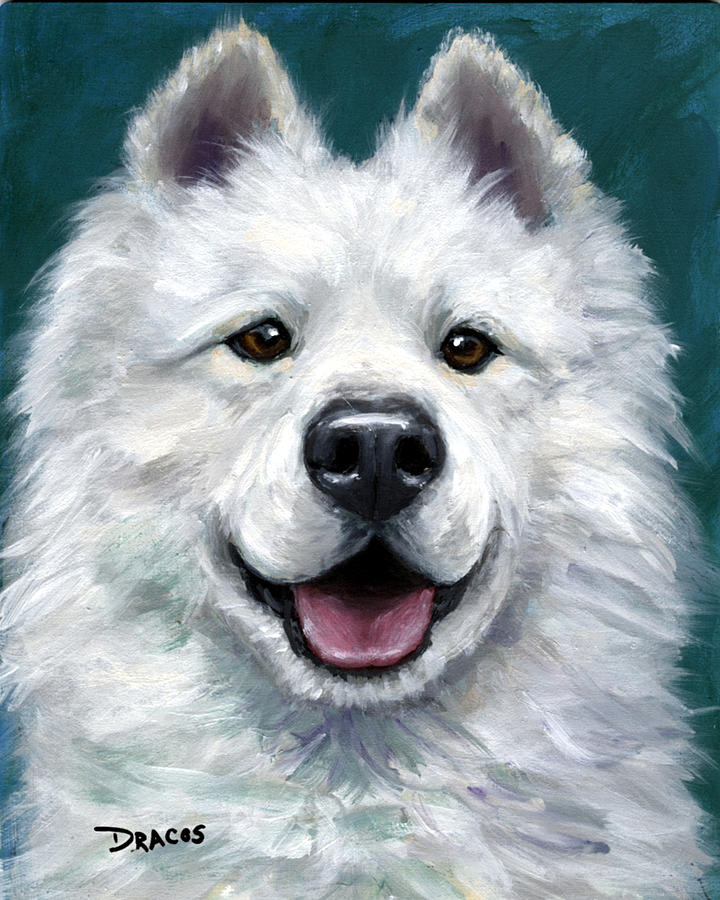 720x900 Samoyed On Teal Painting By Dottie Dracos - Samoyed Painting