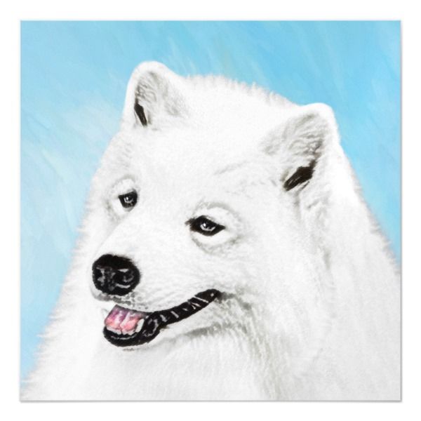 600x600 Samoyed Painting - Samoyed Painting