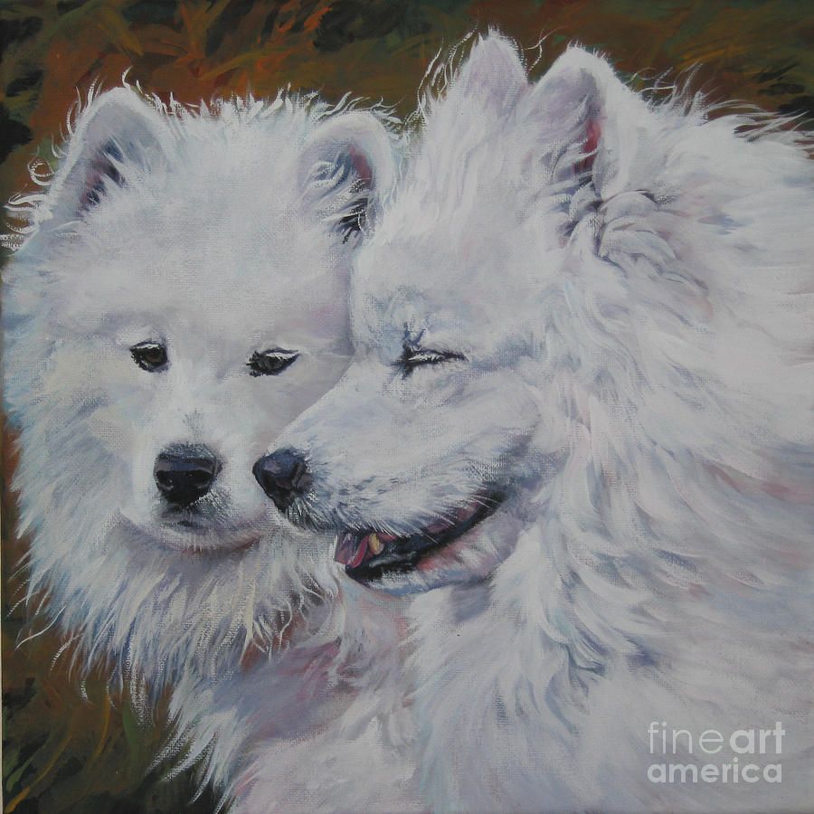 900x900 Samoyed Painting - Samoyed Painting