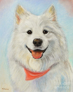 236x300 Samoyed Painting Painting By Kate Sumners - Samoyed Painting