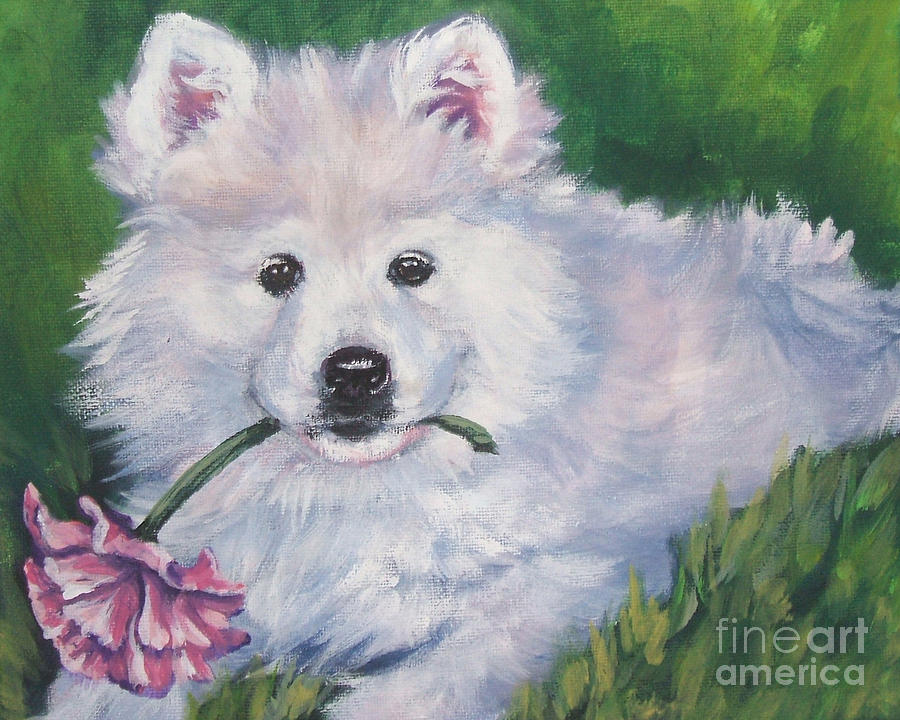 900x720 Samoyed Pup With Peony Painting By Lee Ann Shepard - Samoyed Painting