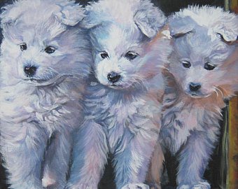 340x270 Samoyed Painting Etsy - Samoyed Painting