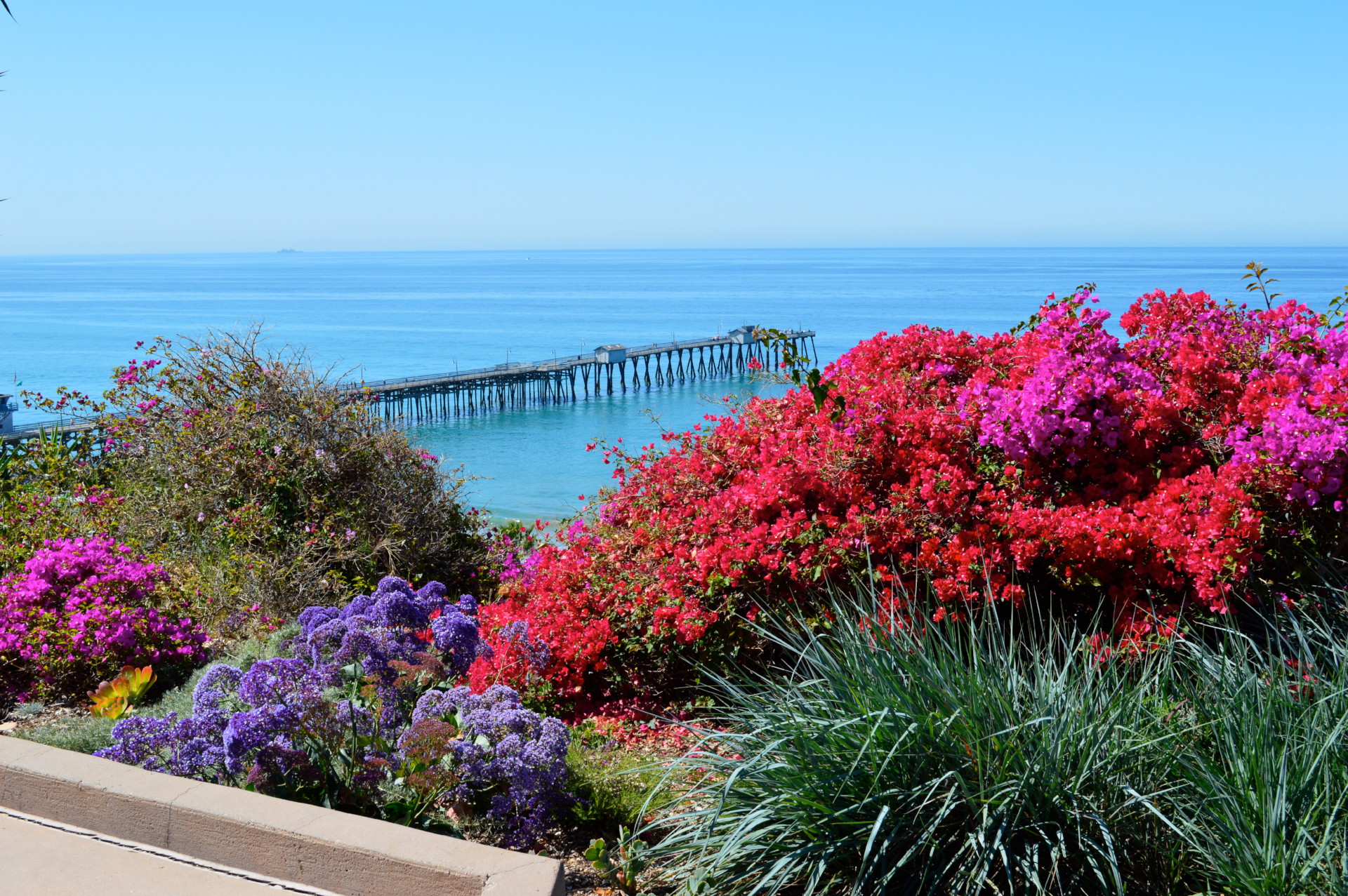 1920x1277 San Clemente Art Association - San Clemente Painting