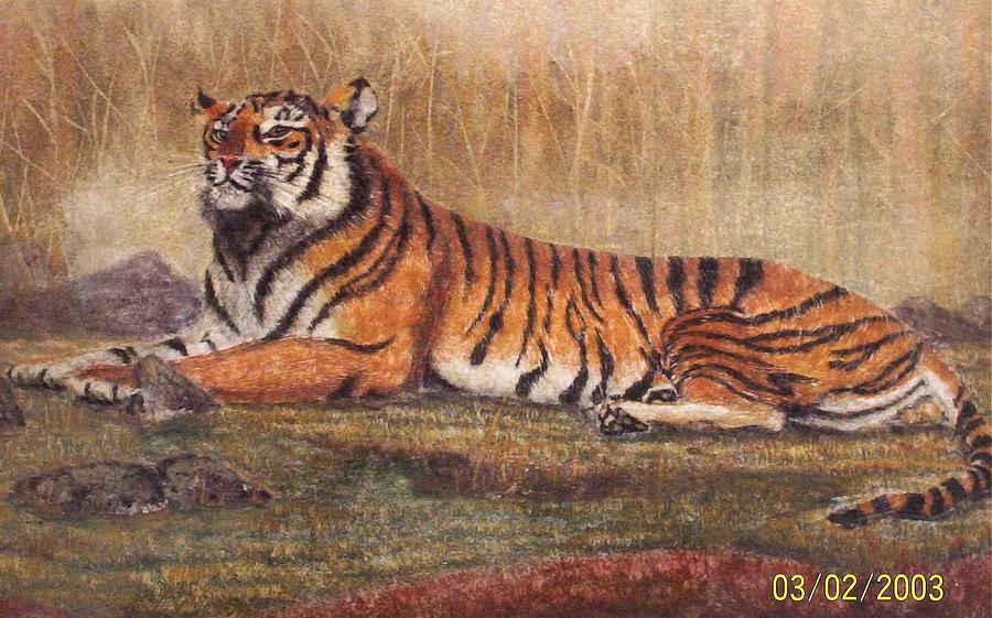 900x561 Tiger Lording It Over The Clan - Sand Painting