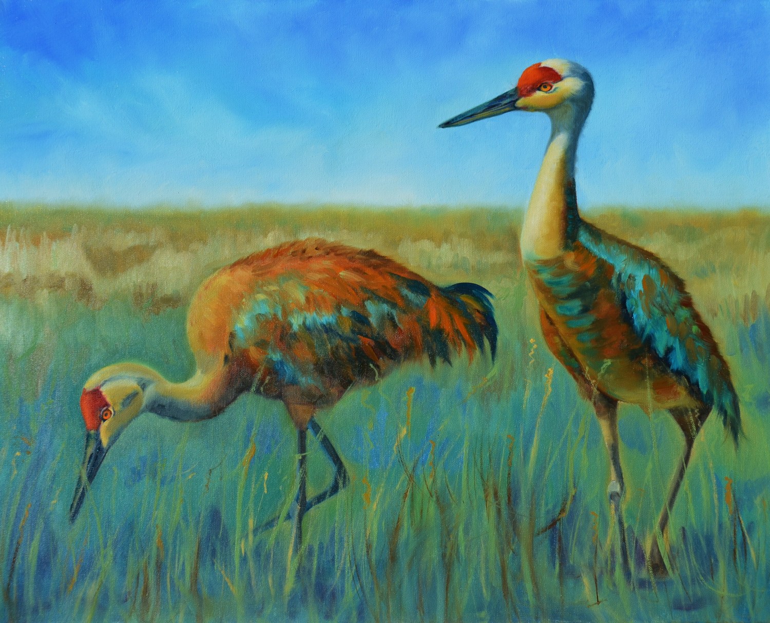 1500x1214 Rose Ratigan Painting Oil Sand Hill Cranes - Sandhill Crane Painting