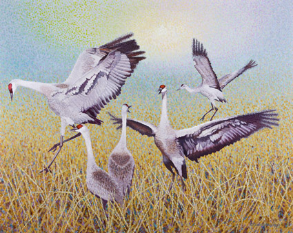 425x338 Sandhill Crane Painting A Big Print On Canvas - Sandhill Crane Painting