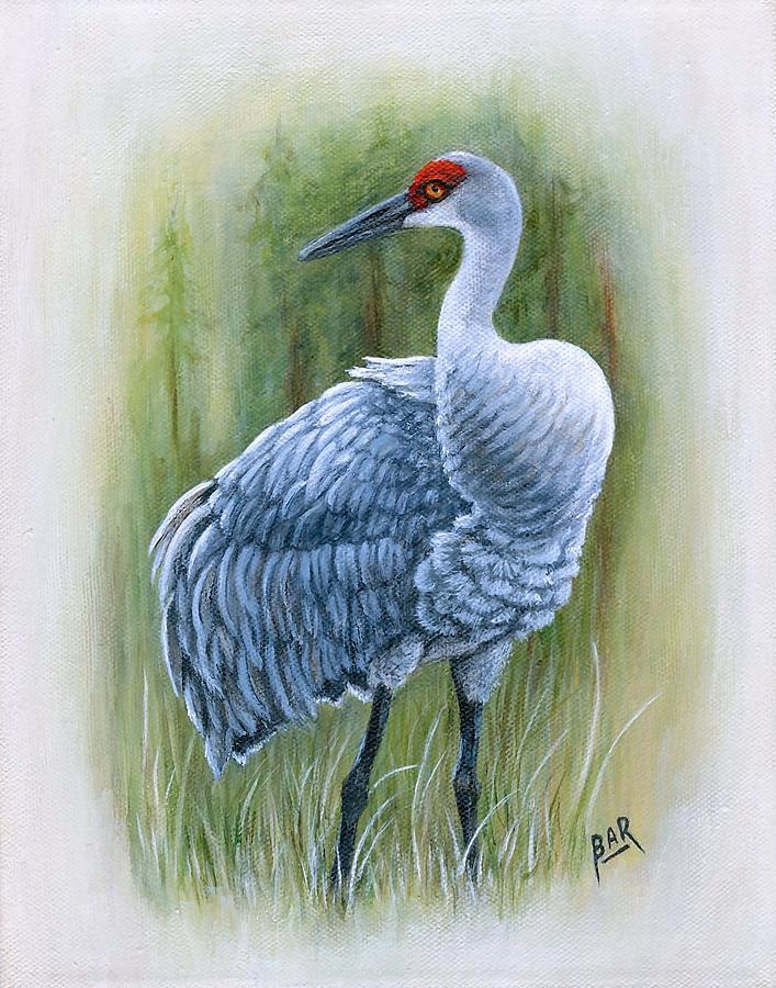 707x900 Sandhill Crane Painting By Barbara Ann Robertson - Sandhill Crane Painting
