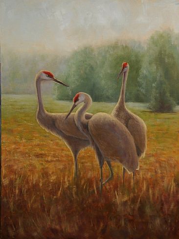 366x488 Sandhill Cranes - Sandhill Crane Painting