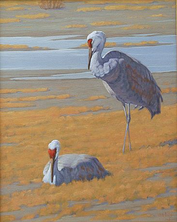 366x459 Sandhill Cranes - Sandhill Crane Painting