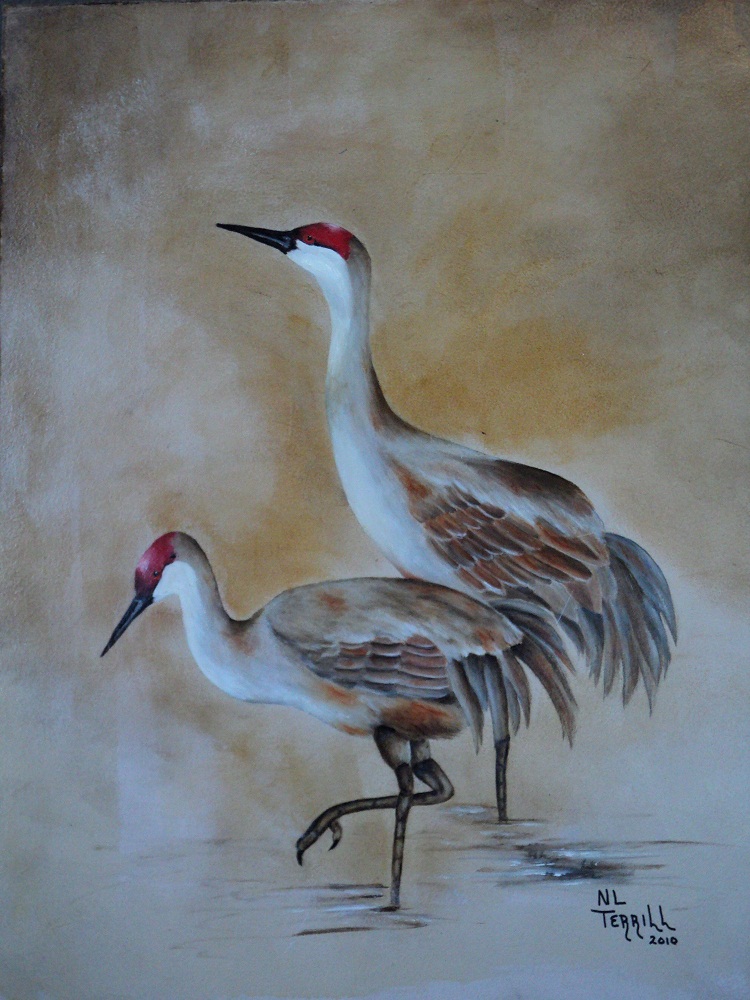 Sandhill Crane Painting At Paintingvalley.com 