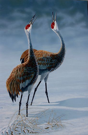366x562 Pair Of Sandhill Cranes Courting In The Snow - Sandhill Crane Painting