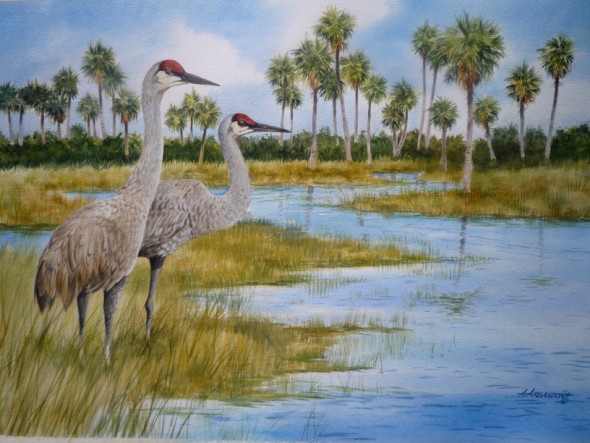 590x443 Sandhill Cranes - Sandhill Crane Painting