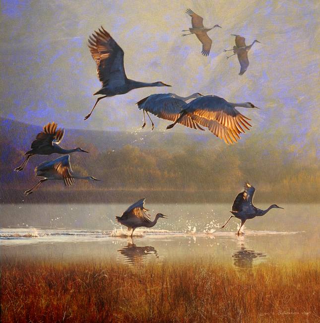 645x650 Sunrise On The Marsh2 - Sandhill Crane Painting