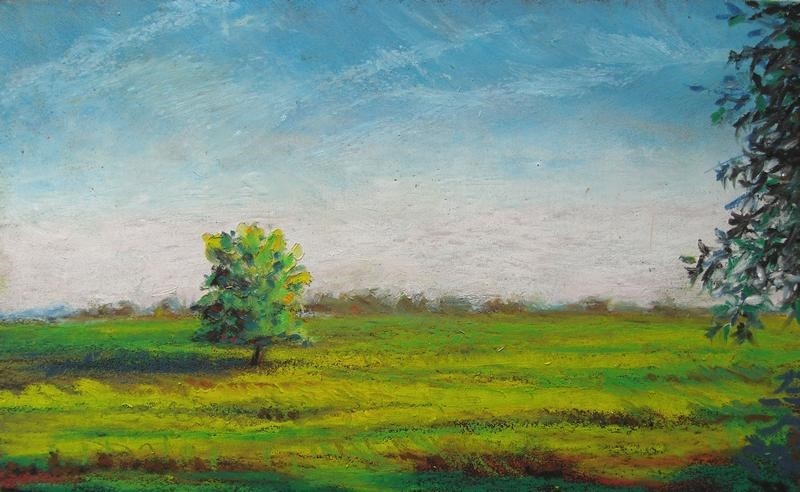 800x492 9 X 6 Oil Pastel On Sandpaper By Steve Morris - Sandpaper Painting