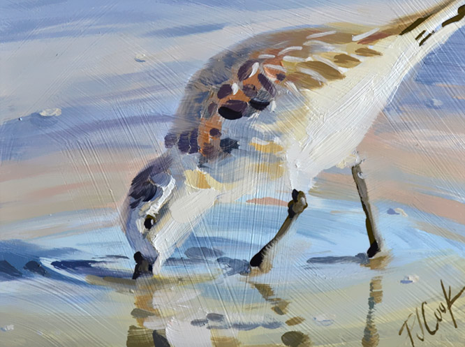 666x497 Sandpiper View - Sandpiper Painting