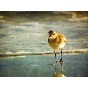 310x310 Sandpiper Wall Art Wayfair - Sandpiper Painting