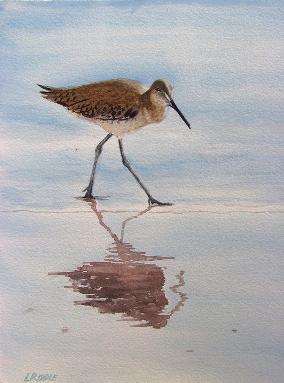 570x768 Sandpiper Painting Original Watercolor Sea Bird Painting - Sandpiper Painting