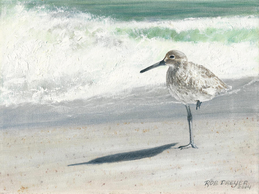 900x675 Study Of A Sandpiper Painting By Dreyer Wildlife Print Collections - Sandpiper Painting