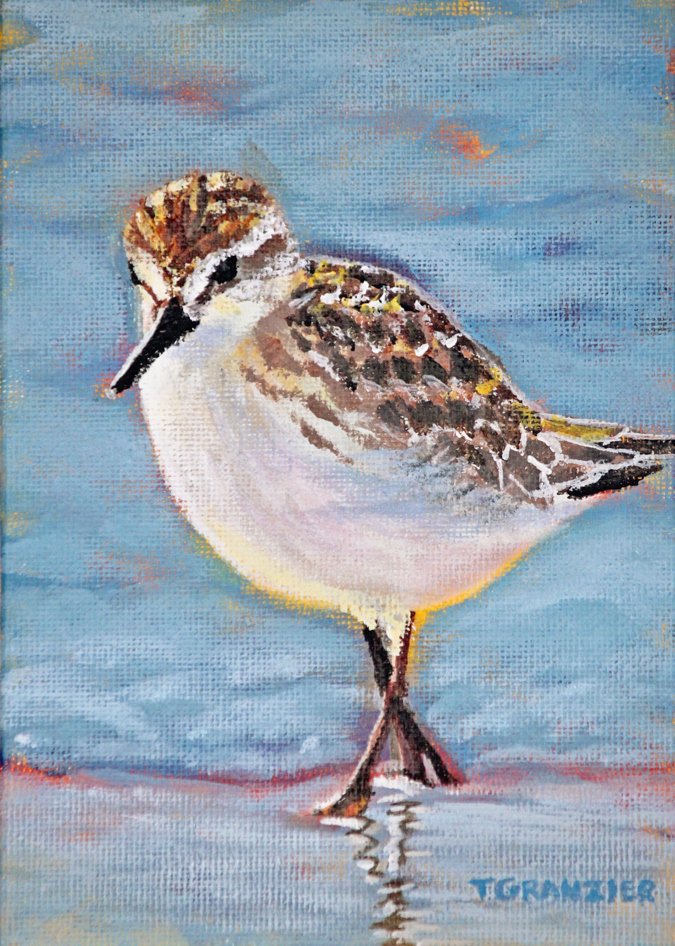 1371x1919 Original Watercolor And Oil Paintings By Tricia Granzier - Sandpiper Painting