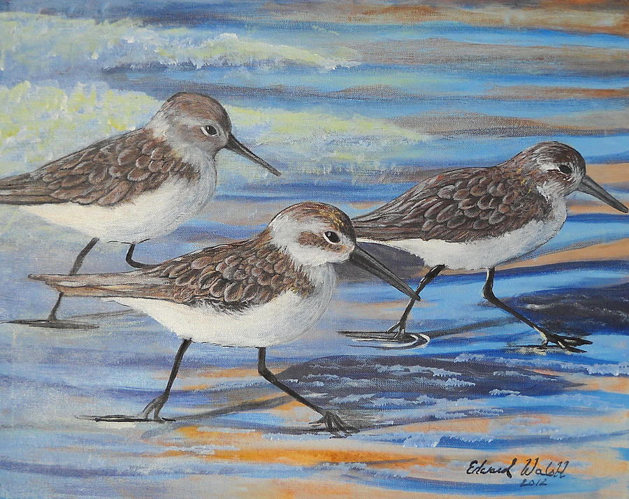 900x714 Sand Pipers Painting By Edward Walsh - Sandpiper Painting