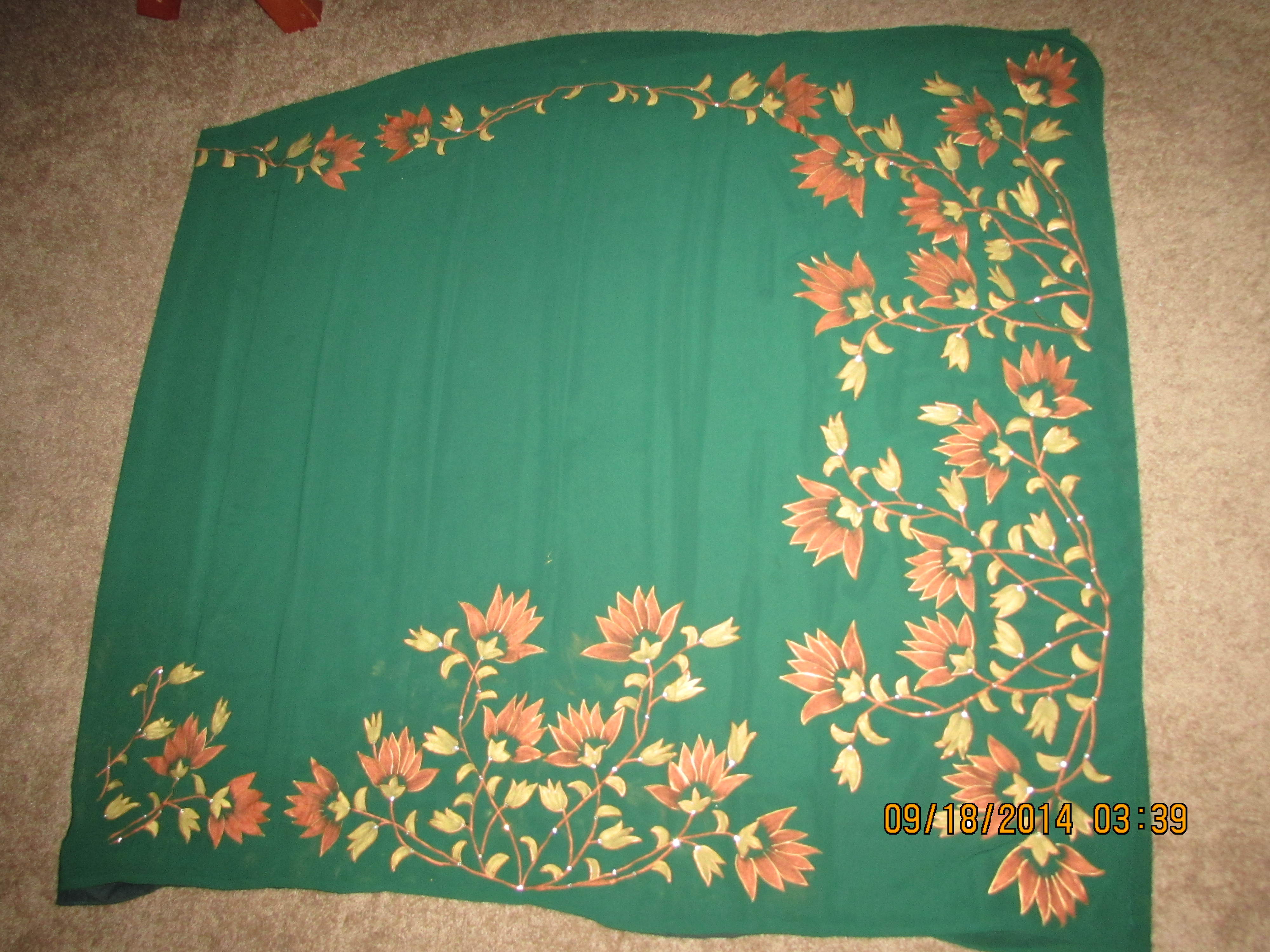 4000x3000 Saree Paintings Anucraft Ideas - Saree Painting