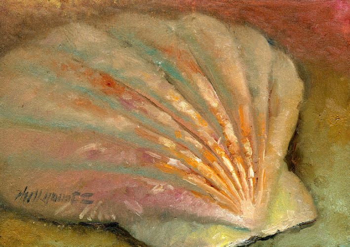 709x500 Scallop Seashell, Florida Seashore 5 X7 Original Oil On Panel Hall - Scallop Shell Painting
