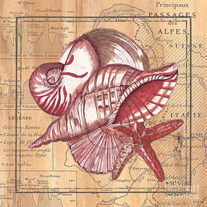 300x300 Scallop Shell Paintings Pixels - Scallop Shell Painting