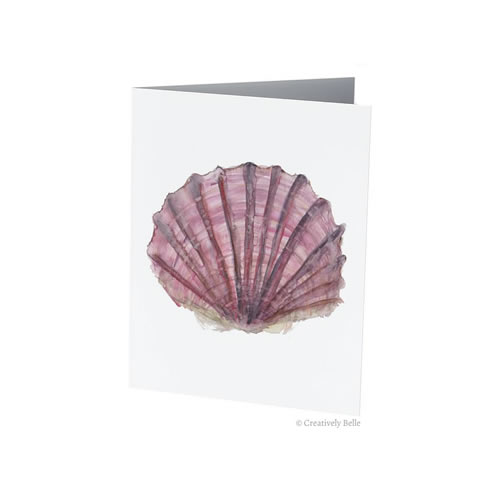 500x500 Tasmania Scallop Shell Folded Note Card Creatively Belle - Scallop Shell Painting