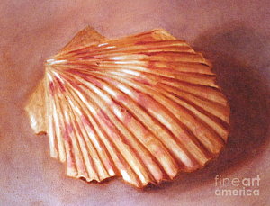 300x229 Scallops Paintings - Scallops Painting