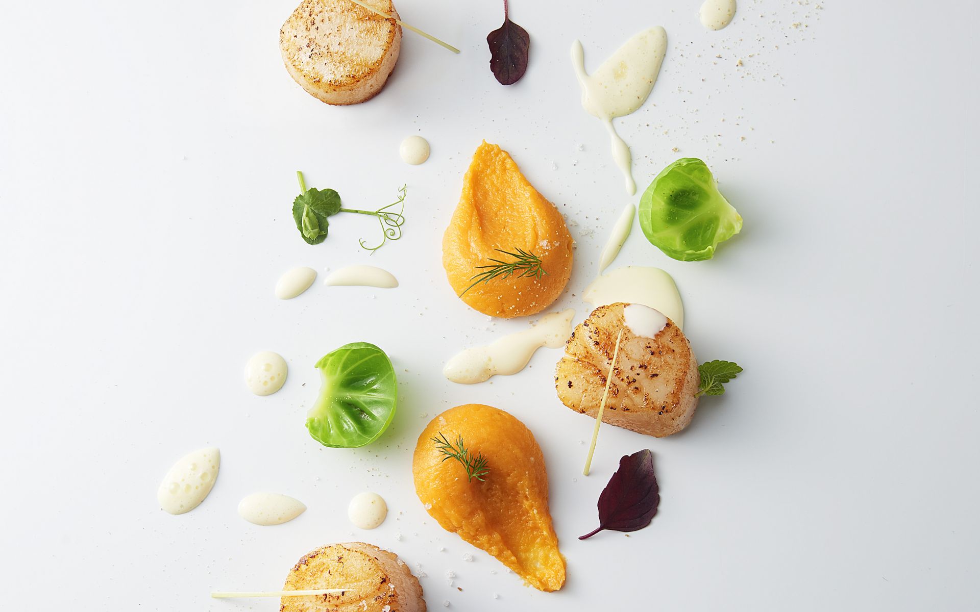 1920x1200 Scallops As A Painting - Scallops Painting